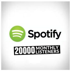 Accueil spotify 20000 monthly listeners